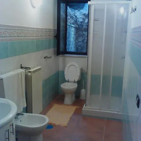 Oasi