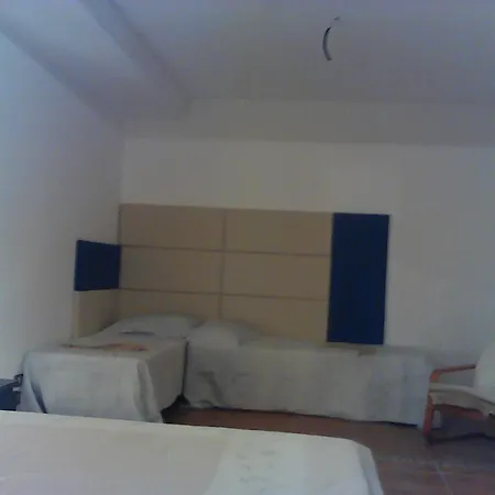 Oasi